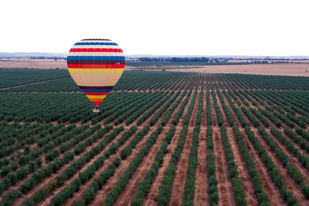 Hotel Vila Gale Alentejo Vineyard - Clube De Campo Albernoa Exterior foto