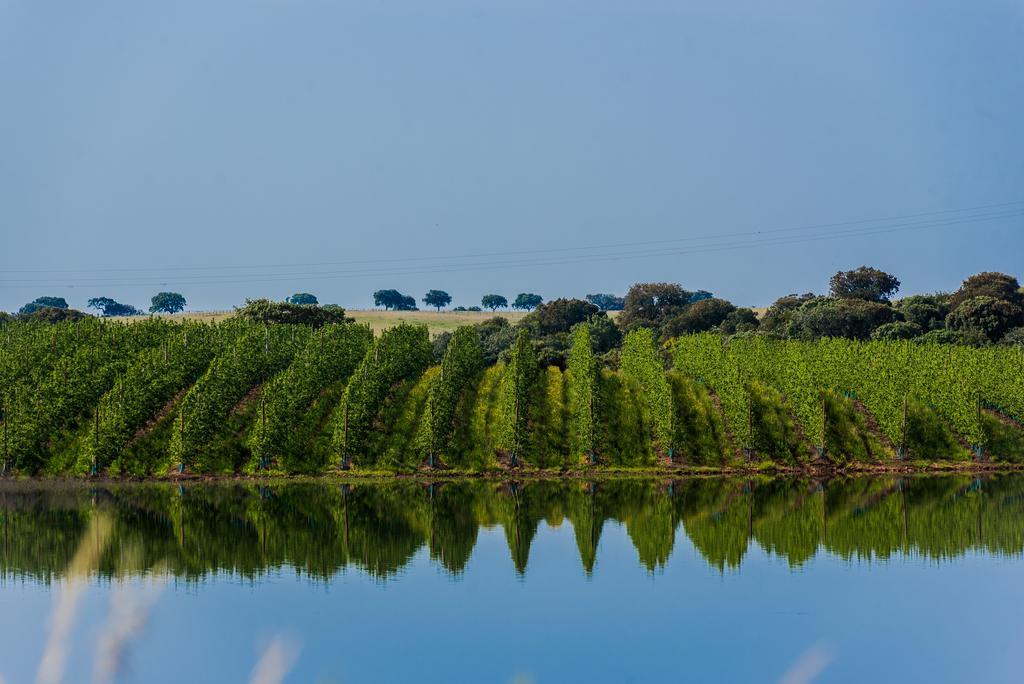 Hotel Vila Gale Alentejo Vineyard - Clube De Campo Albernoa Exterior foto